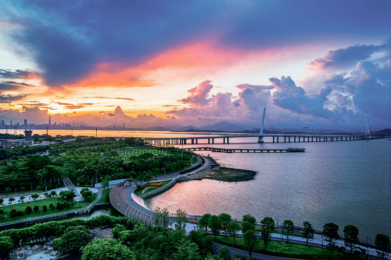 1662142580768023462.jpg 40深圳湾大桥.jpg